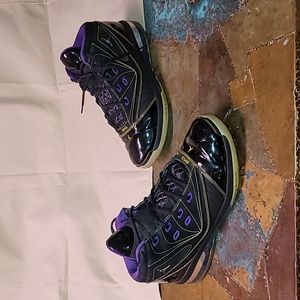 2009. Jordan 16.5. Team shoe. Lakers. Men's size 13. Comes w/ a horsicorn.